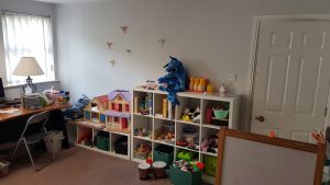 Mayo Play Therapy Appointments